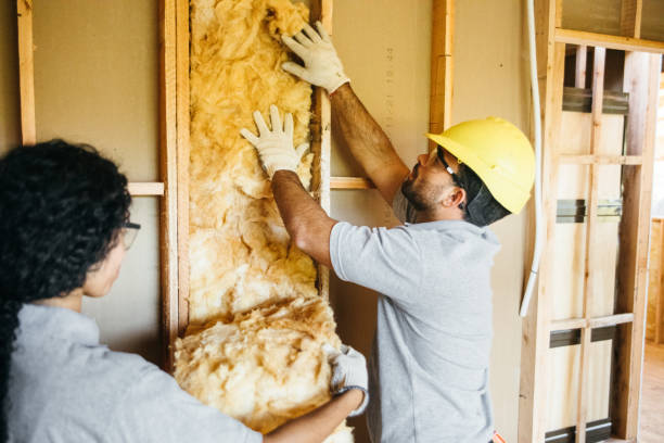 Best Spray Foam Insulation  in , TX